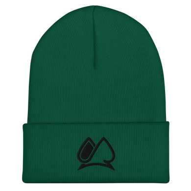 Always Motivated Logo Cuffed Beanie (Spruce/Black)