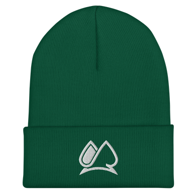 Always Motivated Logo Cuffed Beanie (Spruce/White)