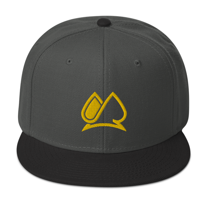 Always Motivated Logo Snapback Adjustable Hat - Charcoal-Black/Gold