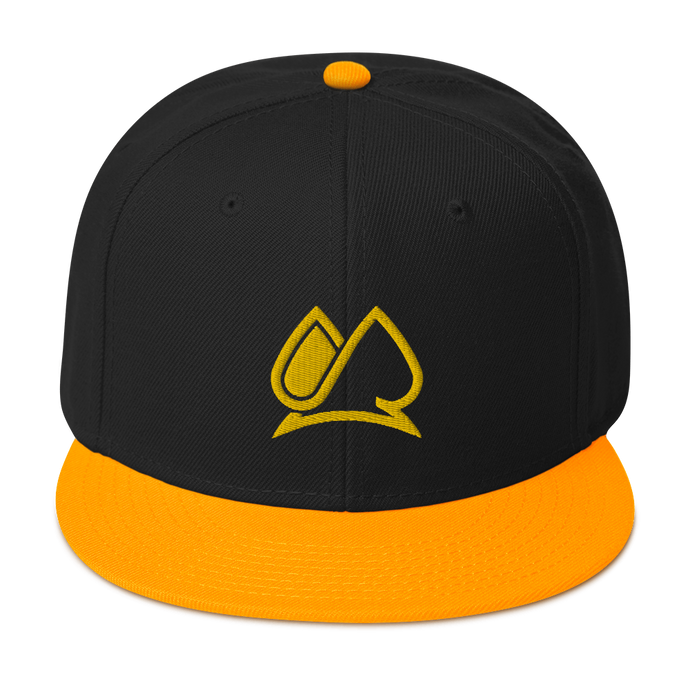 Always Motivated Logo Snapback Adjustable Hat - (Black-Gold/Gold)