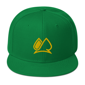 Always Motivated Logo Snapback Adjustable Hat - Green/Gold